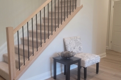 Iron Railings
