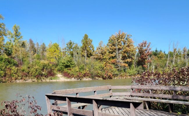 stevensville conservation pond